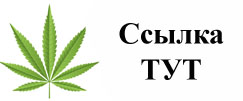 Купить наркотики в Екатеринбурге